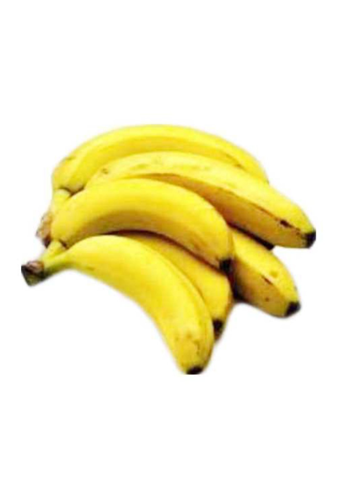 1000104755.jpg