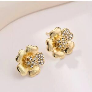 Korean Stylish Earrings Set for Women and Girls (1030)